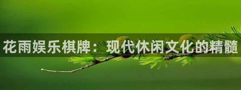 泰达娱乐官网：花雨娱乐棋牌：现代休闲文化的精髓