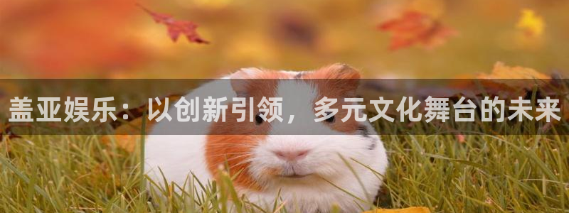 泰达娱乐链接：盖亚娱乐：以创新引领，多元文化舞台的未来