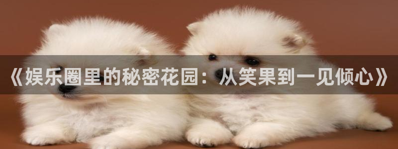 泰达娱乐在线预测：《娱乐圈里的秘密花园：从笑果到一见倾心》