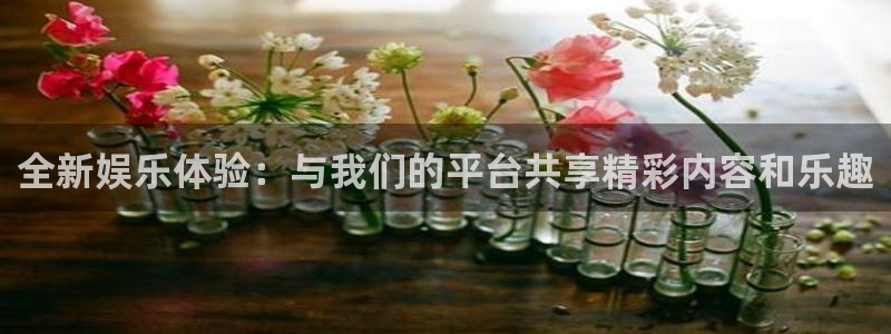 泰达娱乐com