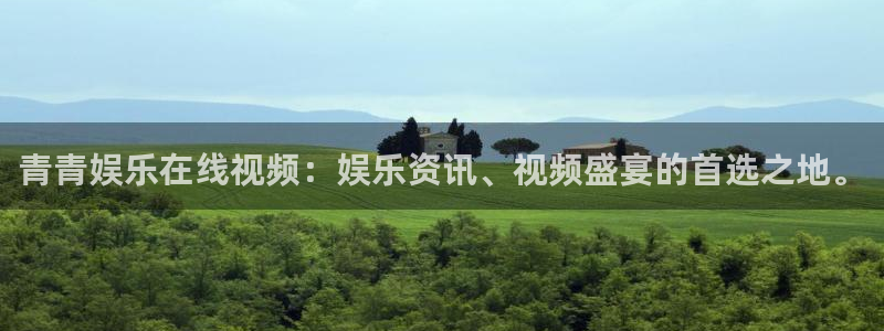 电子游戏泰达娱乐