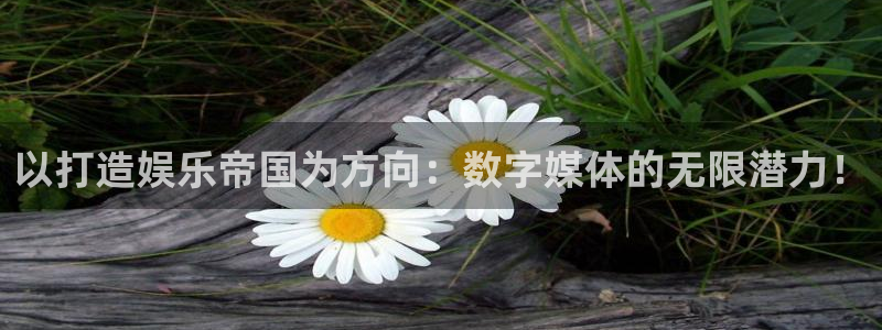 泰达娱乐下载官网入口在哪：以打造娱乐帝国为方向：数字媒体的无限潜力！