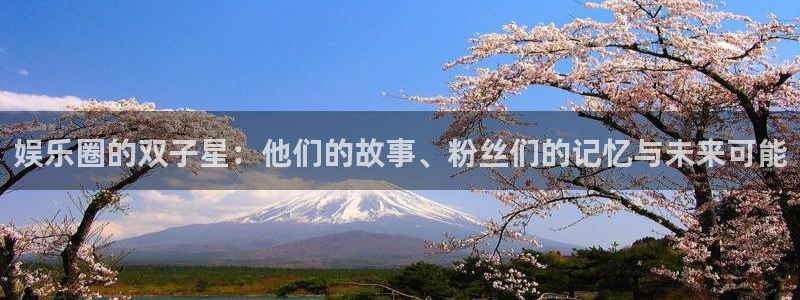 泰达娱乐怎么下载：娱乐圈的双子星：他们的故事、粉丝们的记忆与未来可能