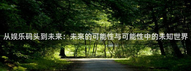 泰达娱乐网站：从娱乐码头到未来：未来的可能性与可能性中的未知世界