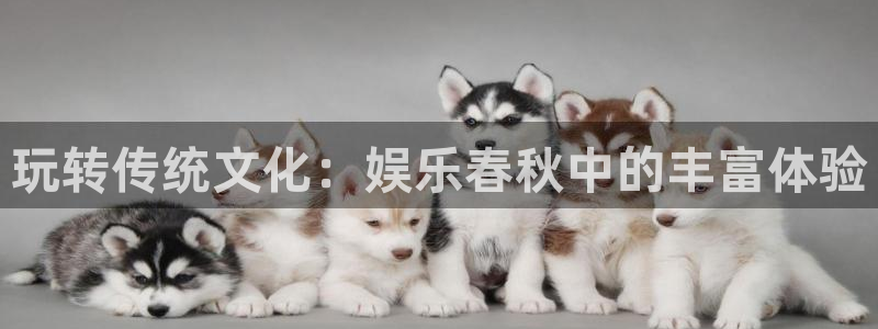 泰达娱乐平台官网版下载：玩转传统文化：娱乐春秋中的丰富体验
