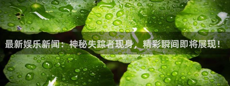 泰达娱乐怎么下载：最新娱乐新闻：神秘失踪者现身，精彩瞬间即将展现！