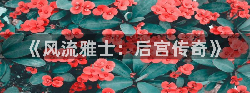壹号大舞台下载链接：《风流雅士：后宫传奇》
