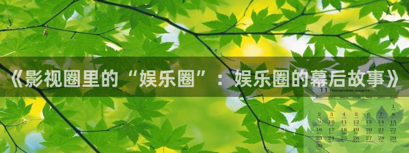 泰达娱乐电子游戏官网：《影视圈里的“娱乐圈”：娱乐圈的幕后故事》
