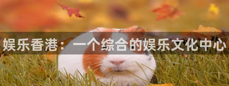 壹号大舞台,有梦你就来：娱乐香港：一个综合的娱乐文化中心