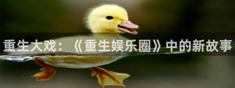泰达娱乐吧
