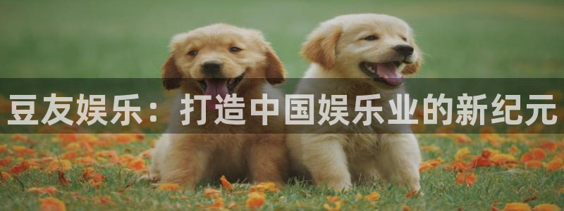 泰达娱乐下载入口：豆友娱乐：打造中国娱乐业的新纪元