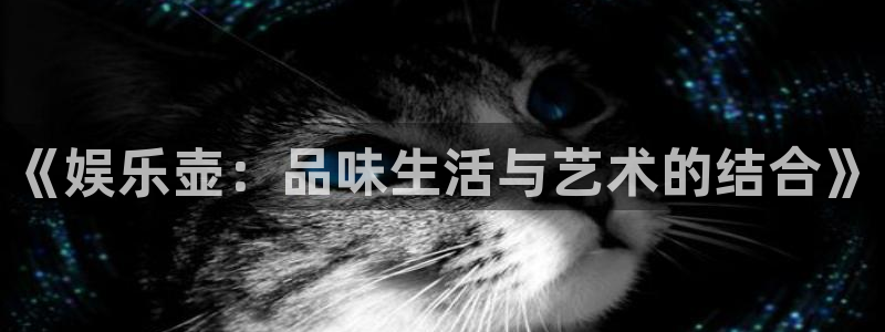 壹号大舞台网站：《娱乐壶：品味生活与艺术的结合》