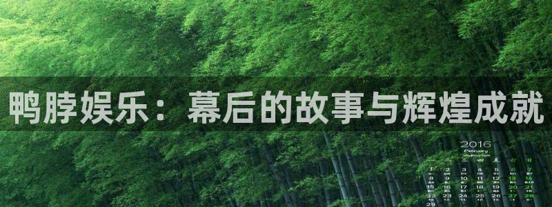 南宫泰达娱乐官网版：鸭脖娱乐：幕后的故事与辉煌成就